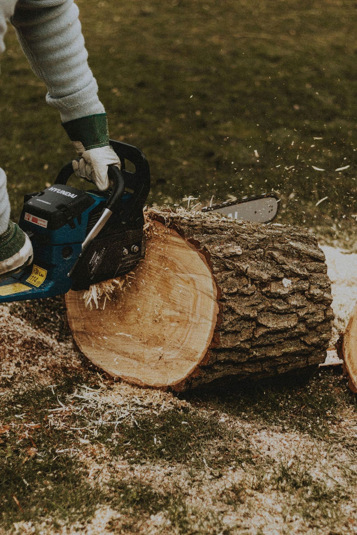 A person is cutting a log with a chainsaw.