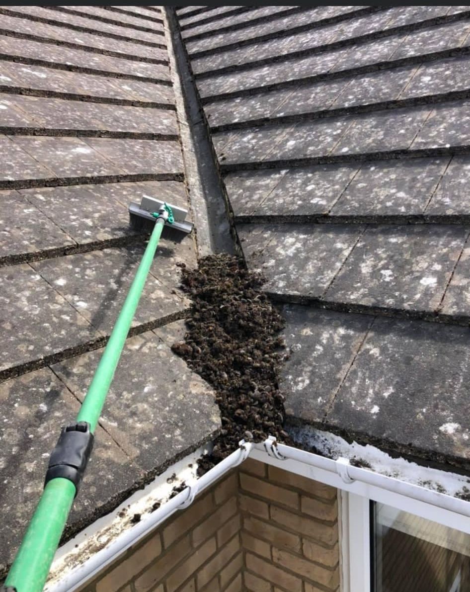 Gutter cleaning job in Corby