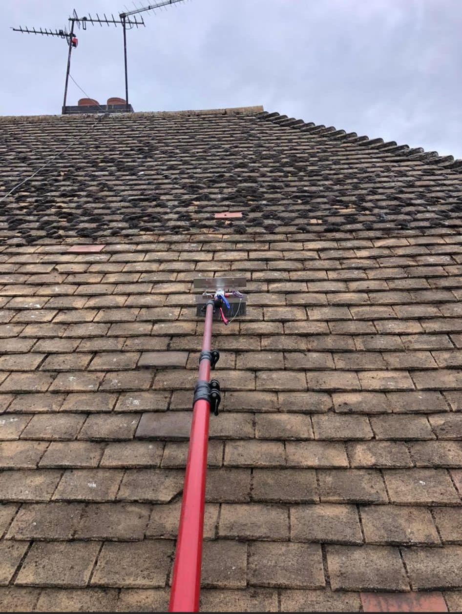 moss removal from roof in Corby