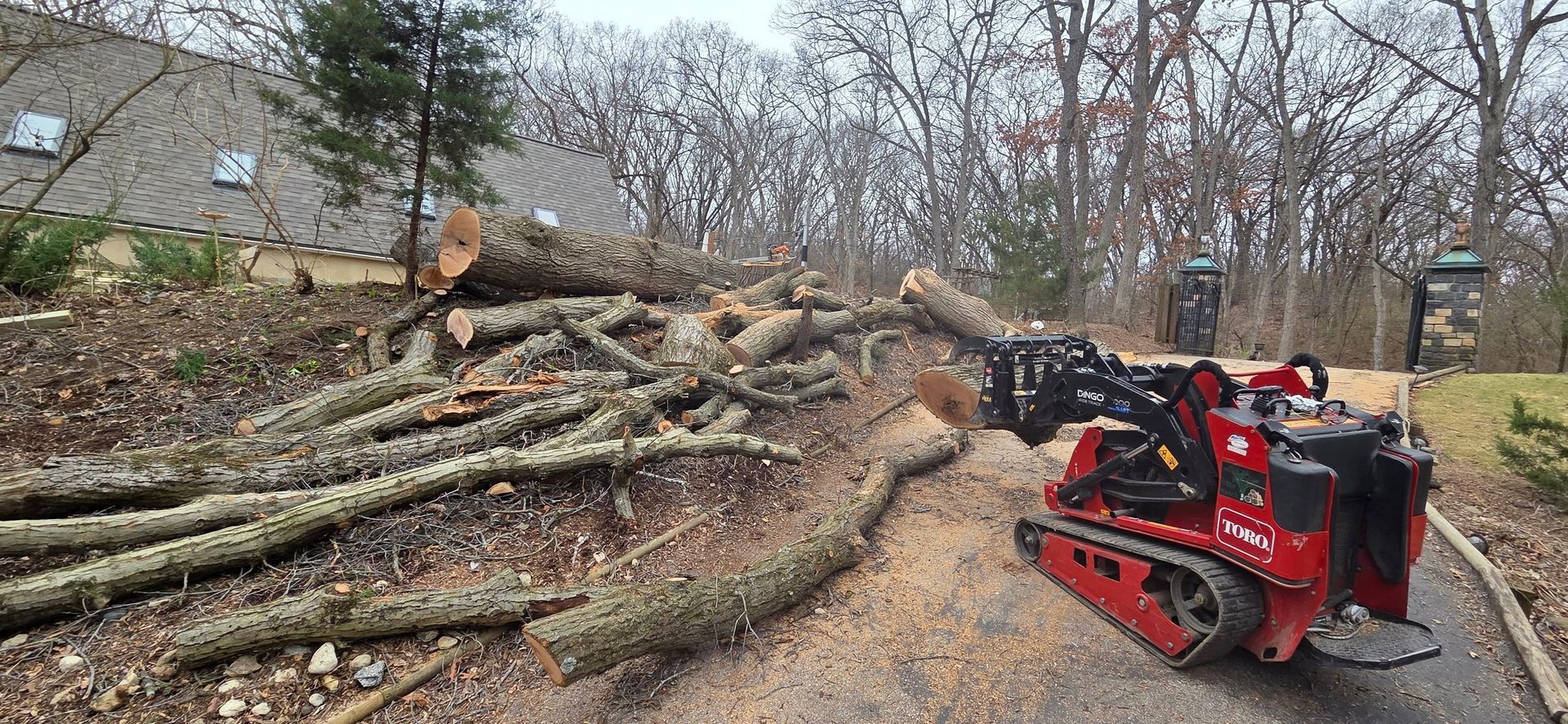 A red tractor is sitting next to a pile of fallen trees.