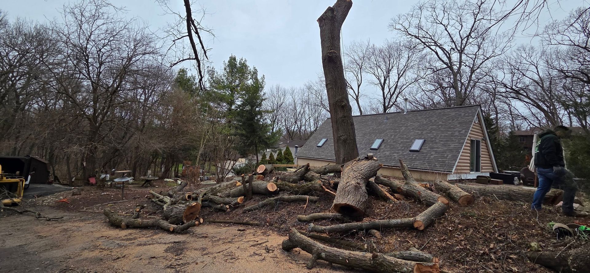 A pile of logs is sitting in front of a house.
