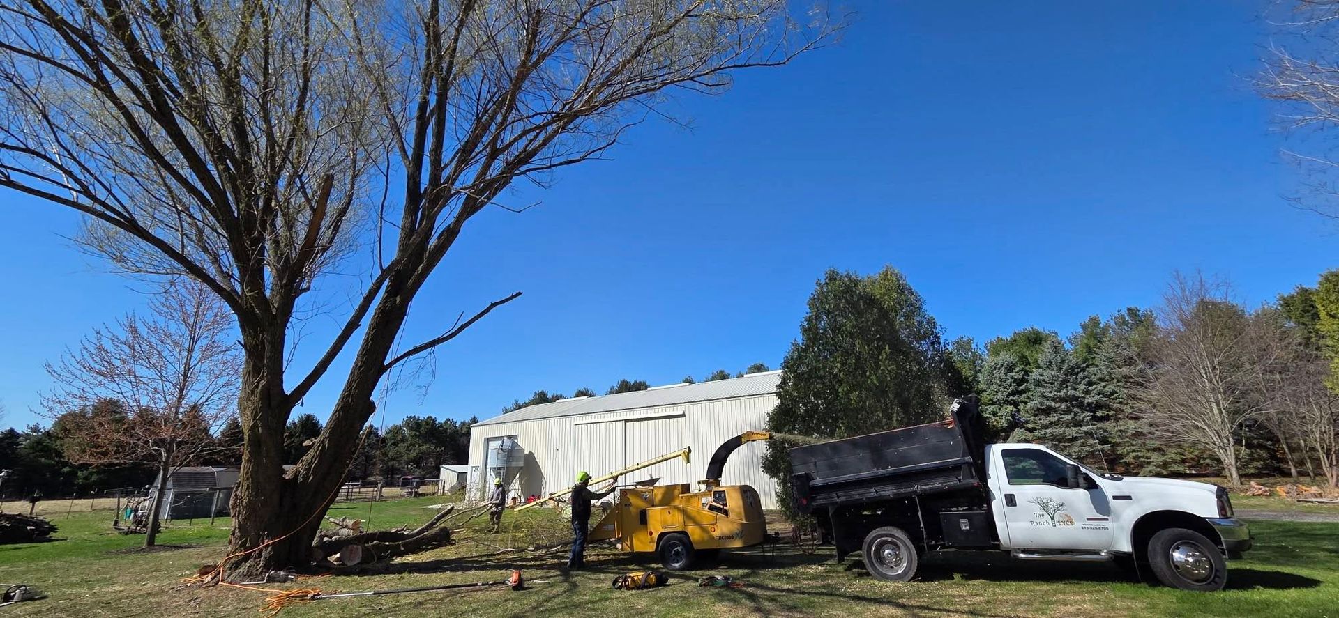 A white truck with a tree chipper attached to it is parked next to a tree.
