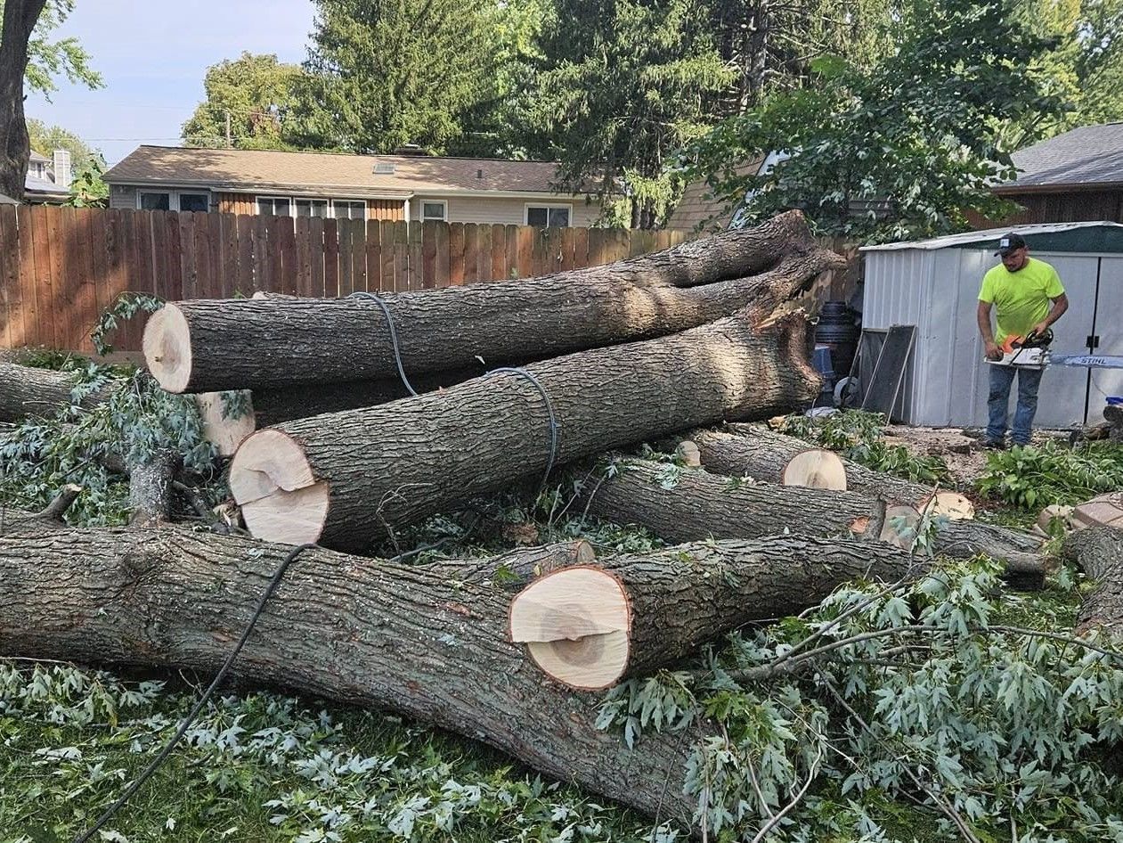A man is standing next to a pile of logs. A man is standing next to a pile of logs.