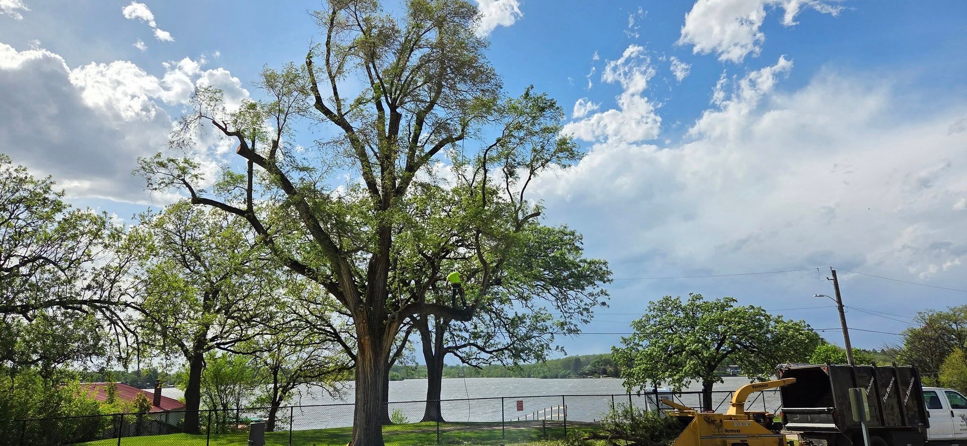 A large tree is being cut down in front of a lake.