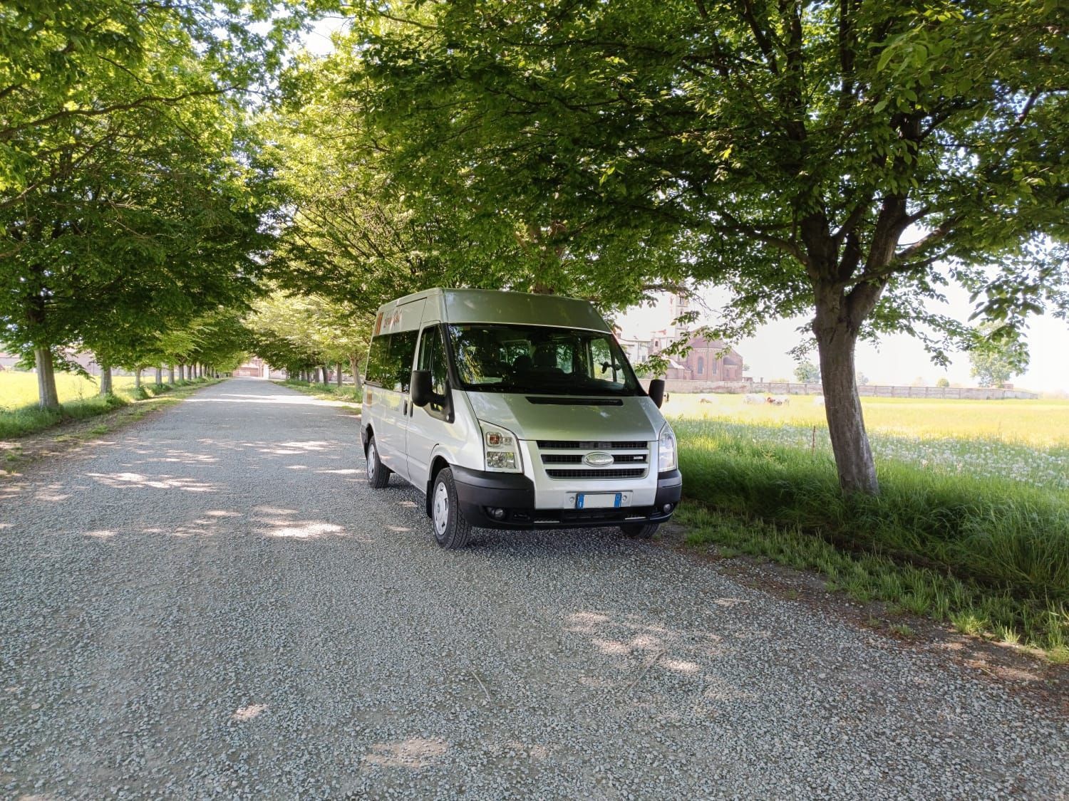 Furgone bianco parcheggiato su una strada sterrata sotto alberi verdi accanto a un campo soleggiato