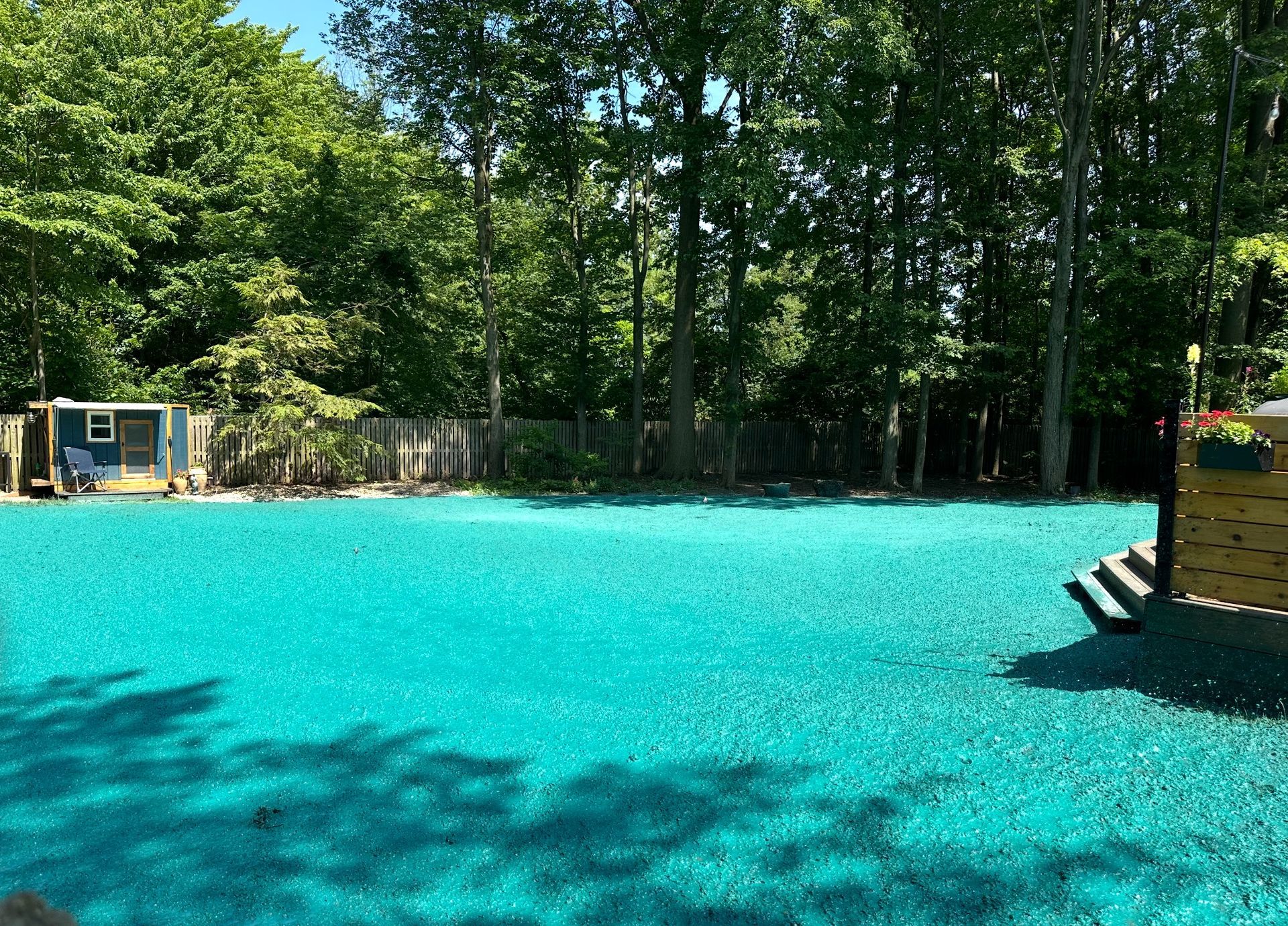Turquoise rubberized surface in a yard, with a climbing wall and trees in the background.