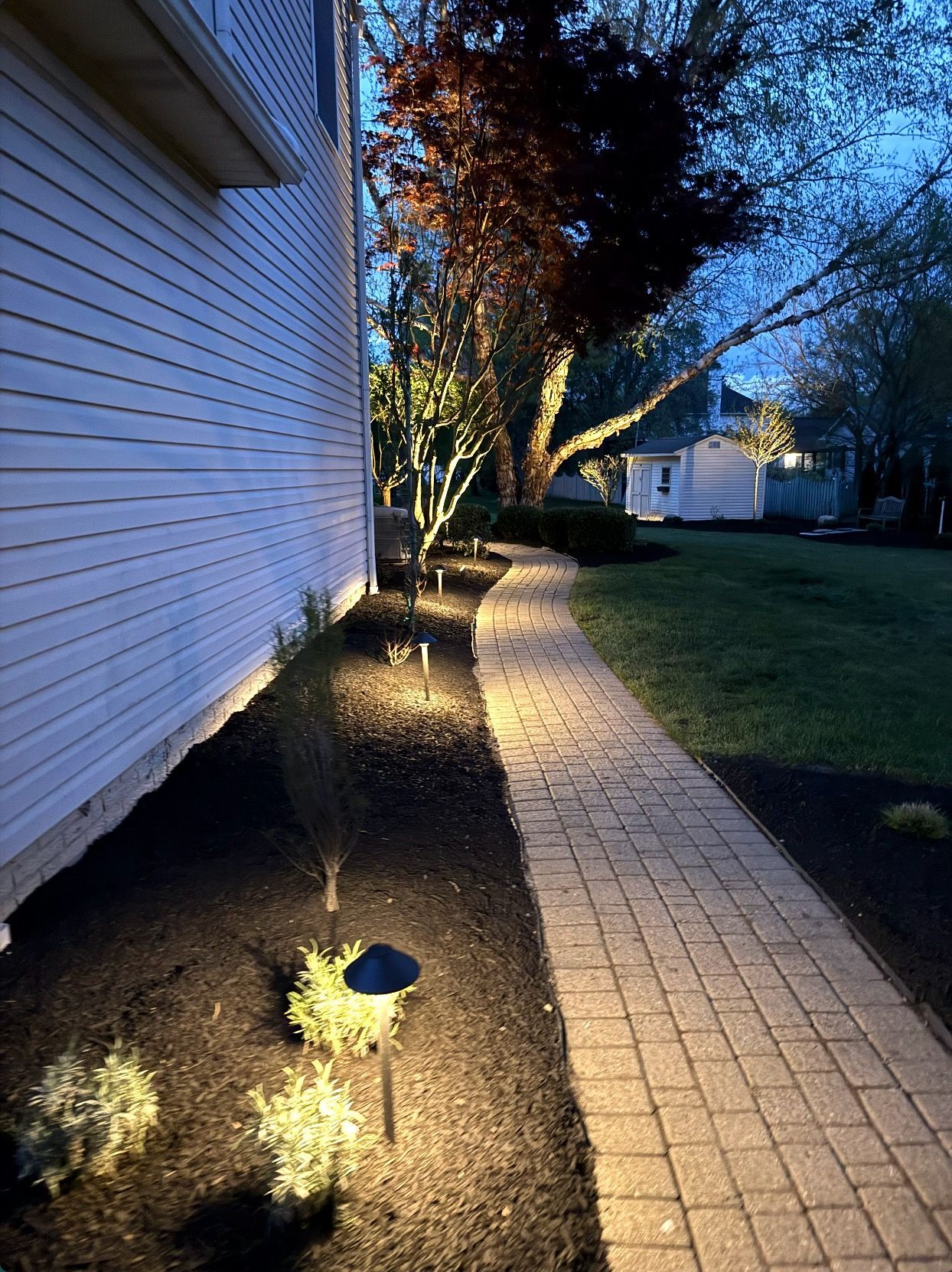 Pathway lit by landscape lights at dusk, leading through garden beds, with house to the left and trees in the background.
