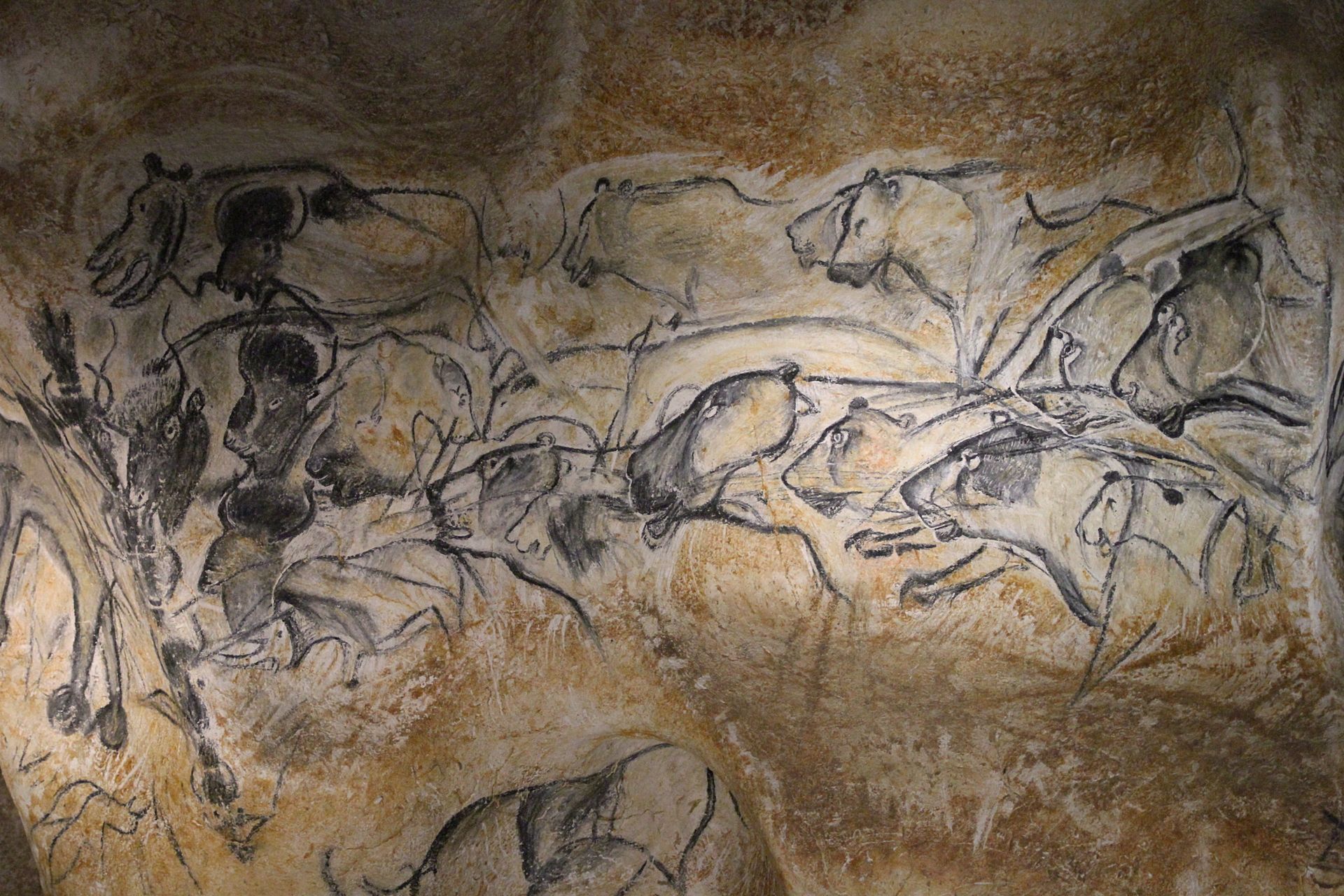Cave painting of running animals, including horses and aurochs, in shades of brown and black.