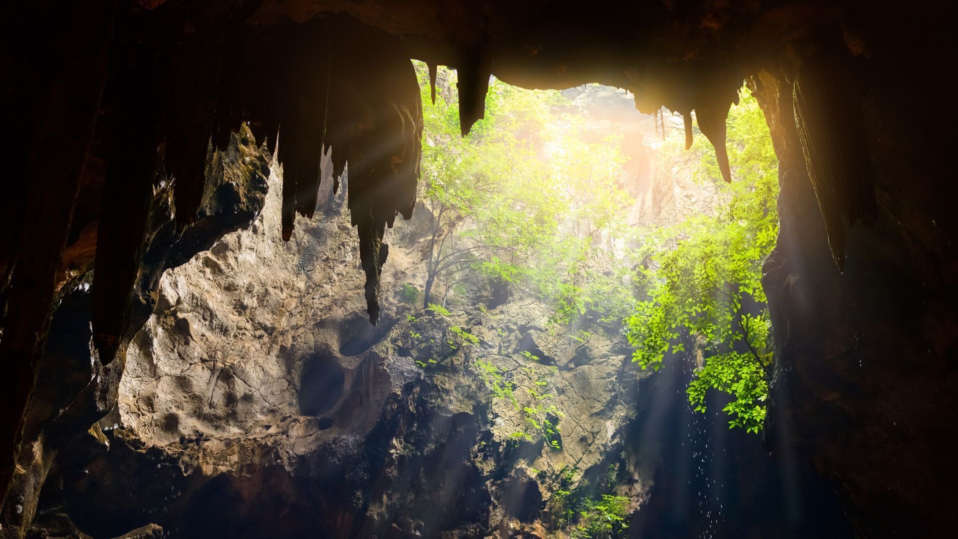 Sunlight streams into a dark cave, illuminating green foliage and rock formations.