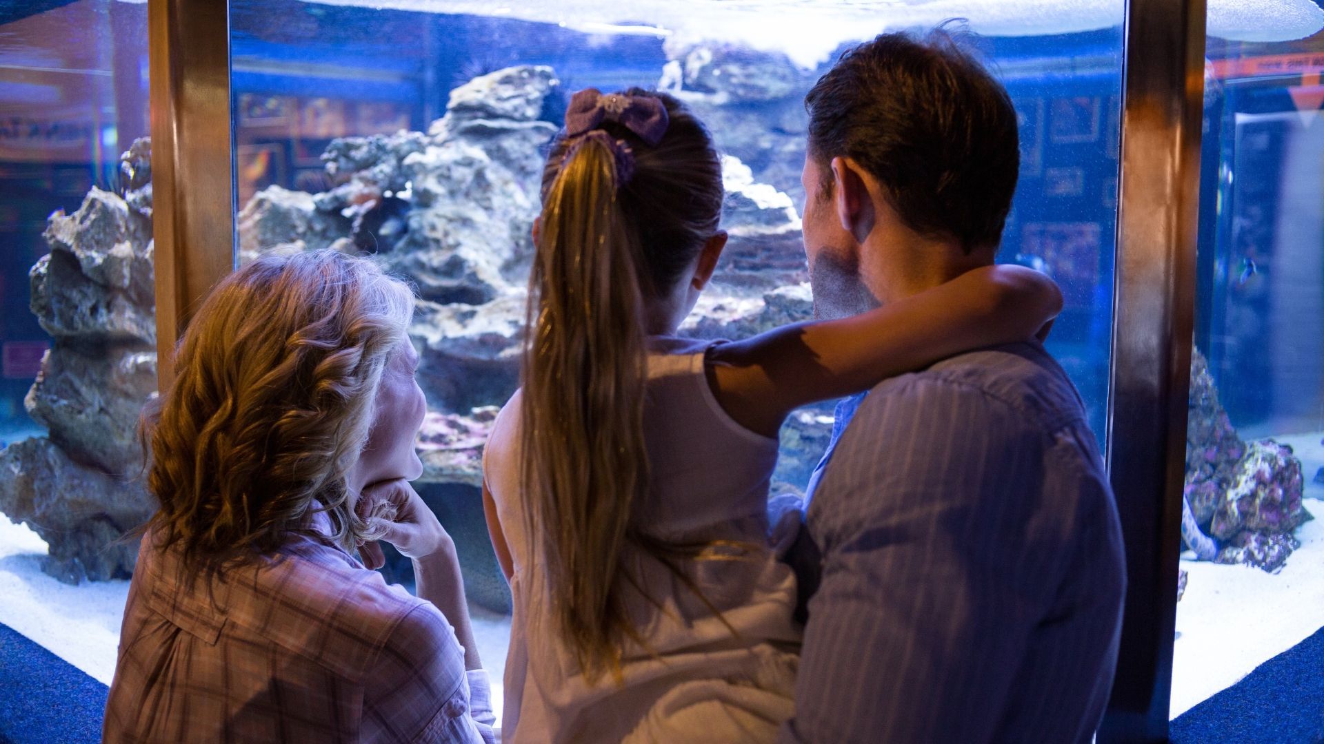 Yorkshire is full of family fun with an educational flavour. Avoid the roar of theme park rides