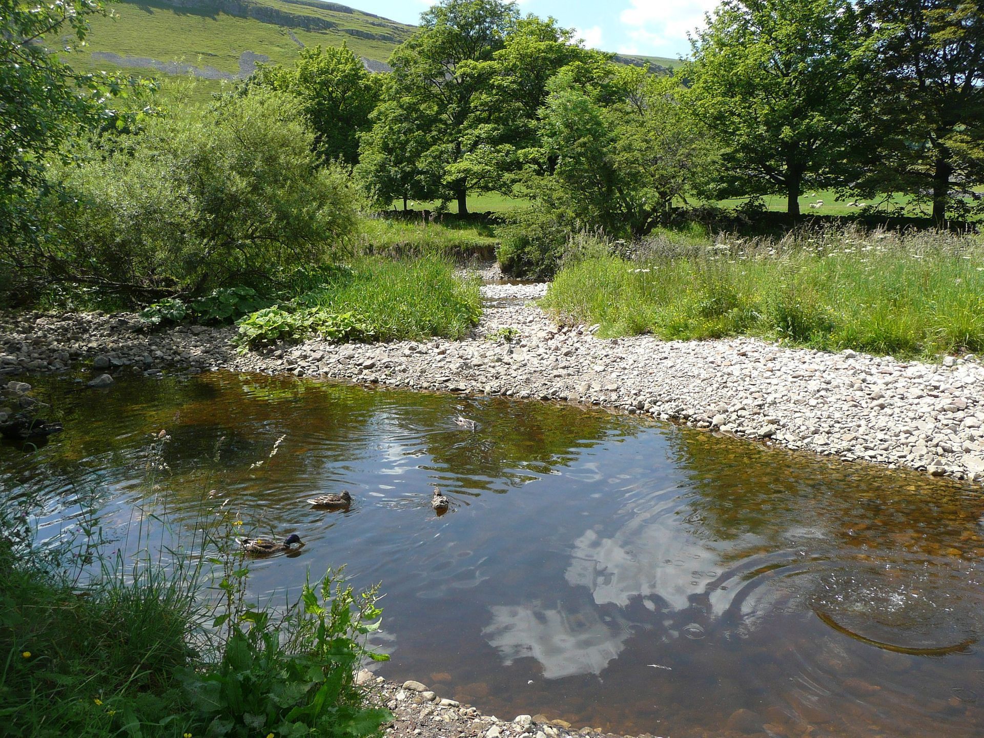 A small river with a rocky bed, surrounded by green grass and trees, reflecting the sky.