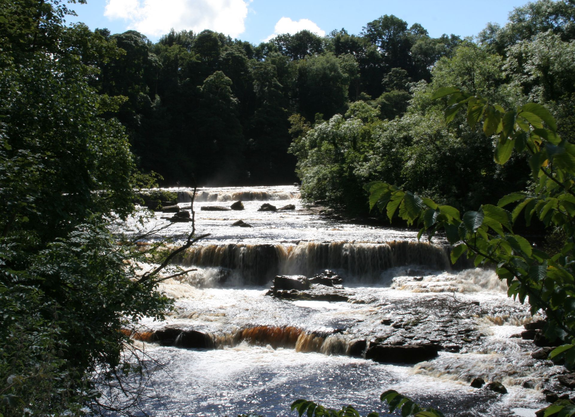 Cascading waterfall in a forest setting; brown water flows over rocky ledges.