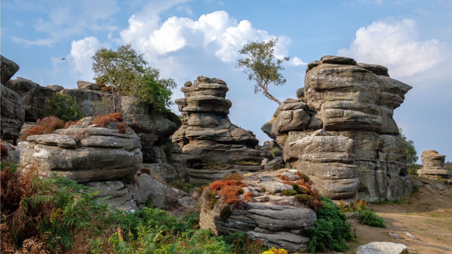 Weathered rock formations with small trees and shrubs under a cloudy sky.
