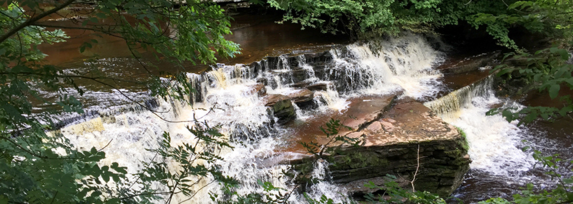 Waterfall cascading over rocks, surrounded by green foliage.