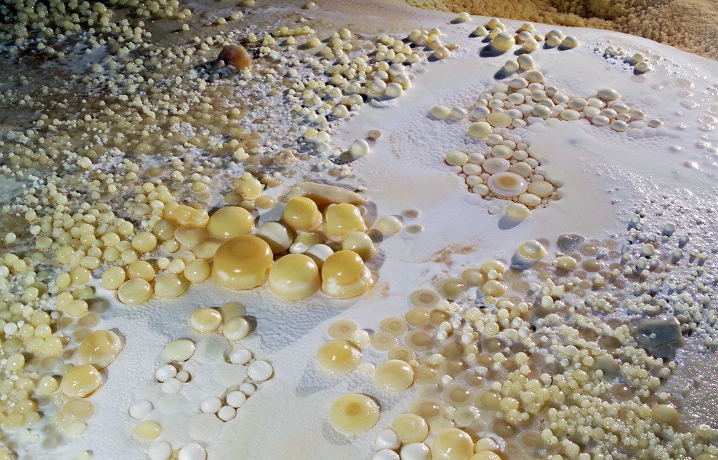 Close-up of a cave surface covered in rounded, pale yellow and white mineral formations.