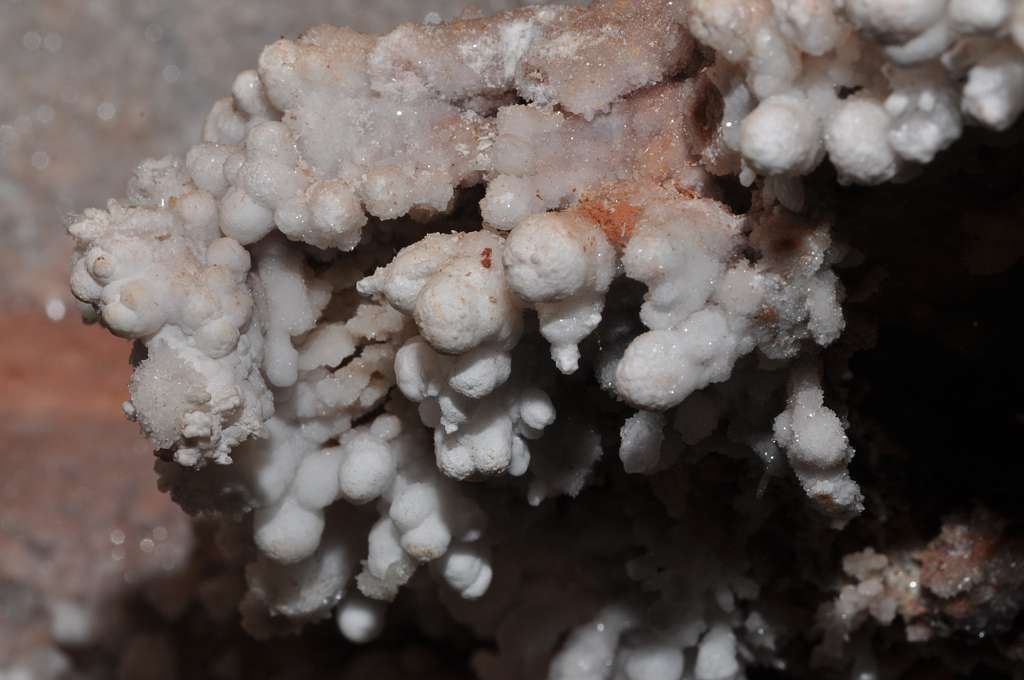 White, clustered, rounded formations with a glossy sheen, resembling small stalactites, growing on a brown surface.
