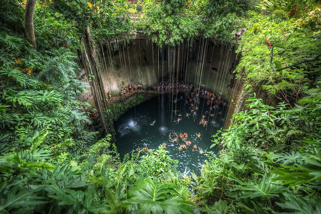 Lush green jungle surrounds a cenote, a natural sinkhole with water. Sunlight streams in.