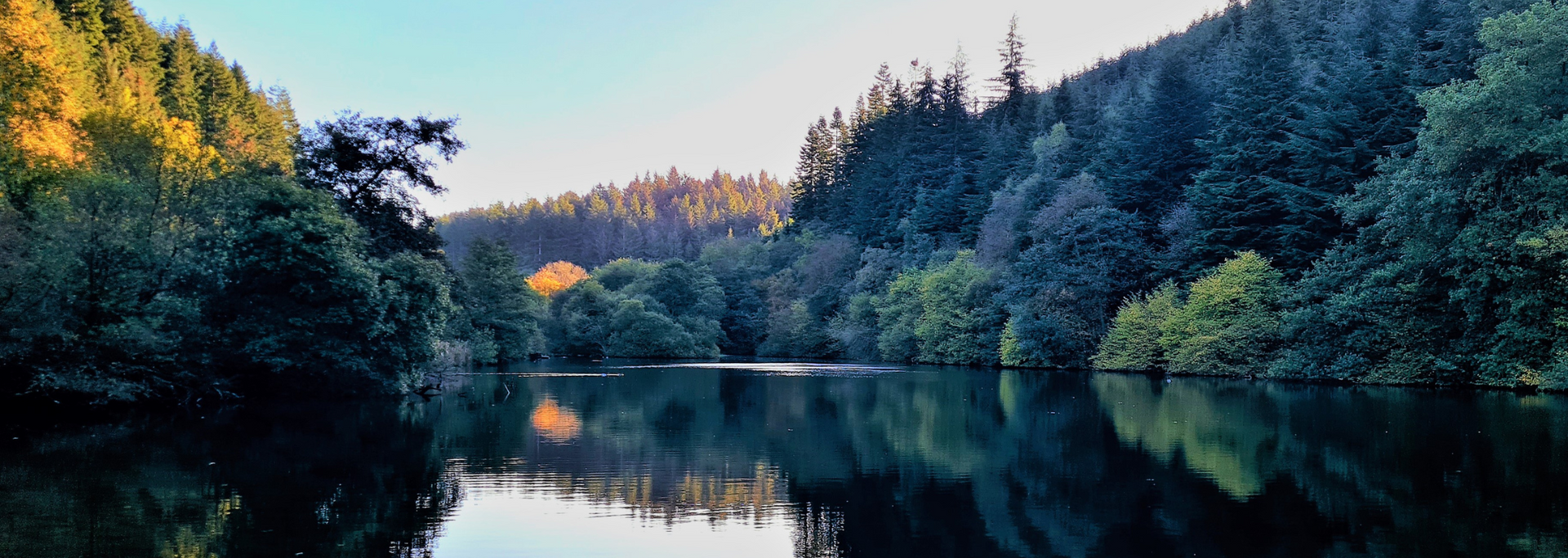 A calm lake reflects the surrounding trees and hills, bathed in soft sunlight.