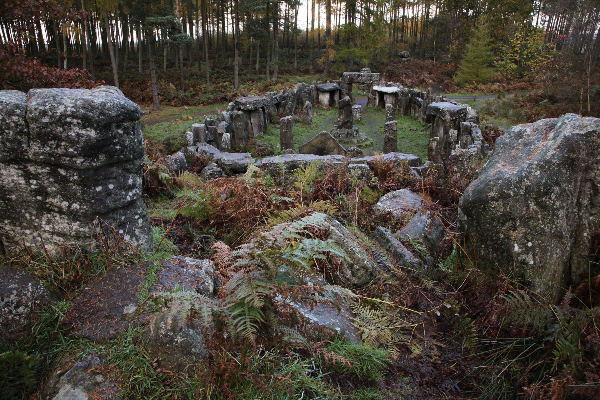 Stone ruins in a forest clearing. Mossy foreground with rectangular stone structures, trees in background, brown and green hues.