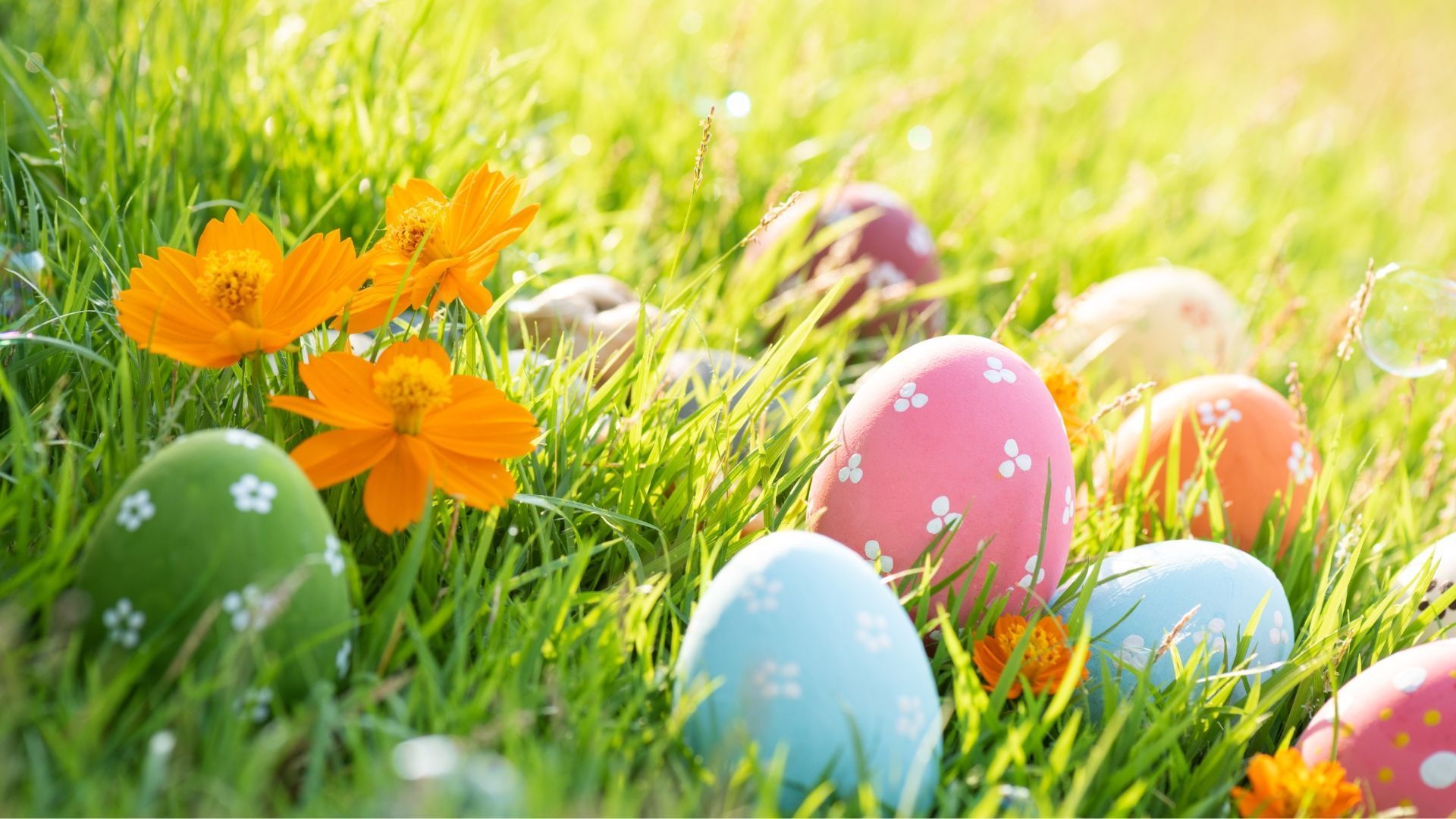 Colorful Easter eggs nestled in green grass with orange flowers.