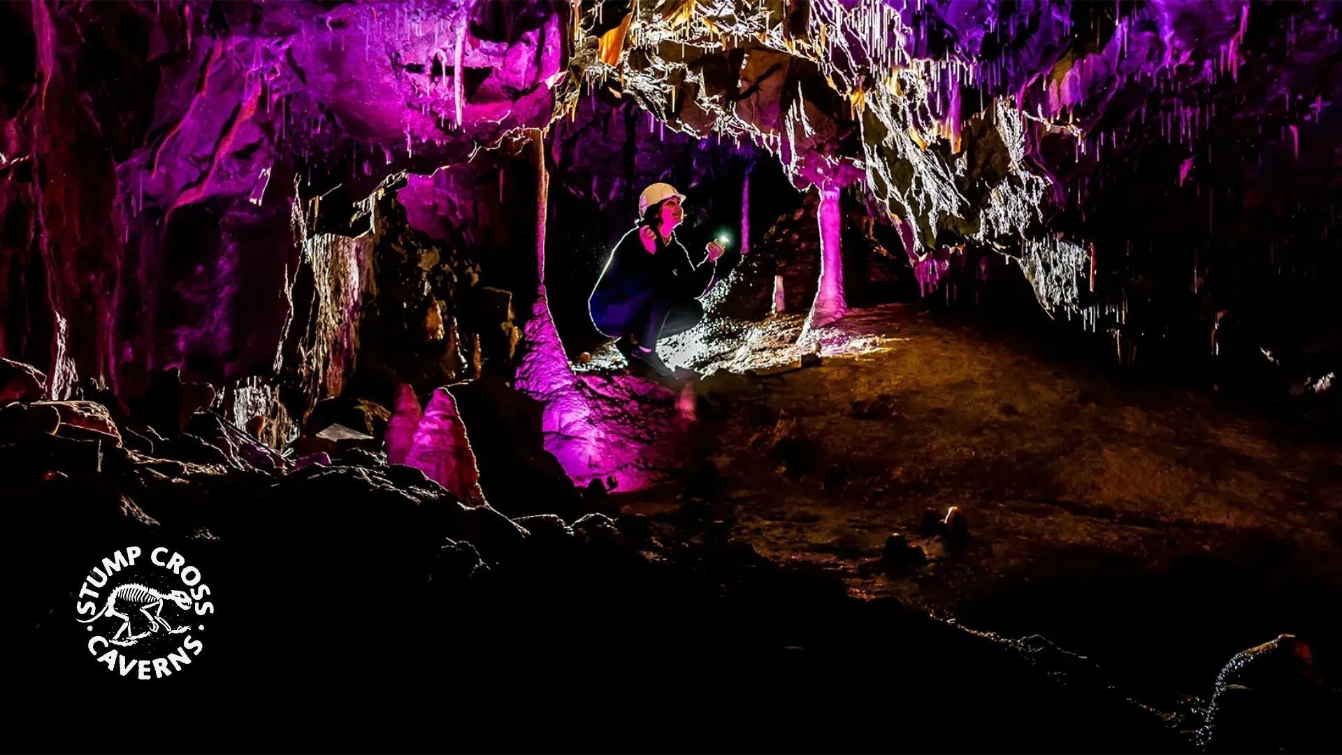 Person in a cave, illuminated by purple and white lights, examining rock formations.