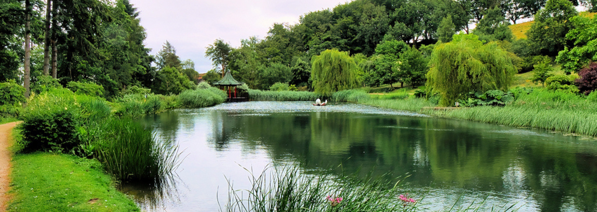 A tranquil pond surrounded by lush green foliage and trees, a pathway on the left, and a small gazebo in the distance.