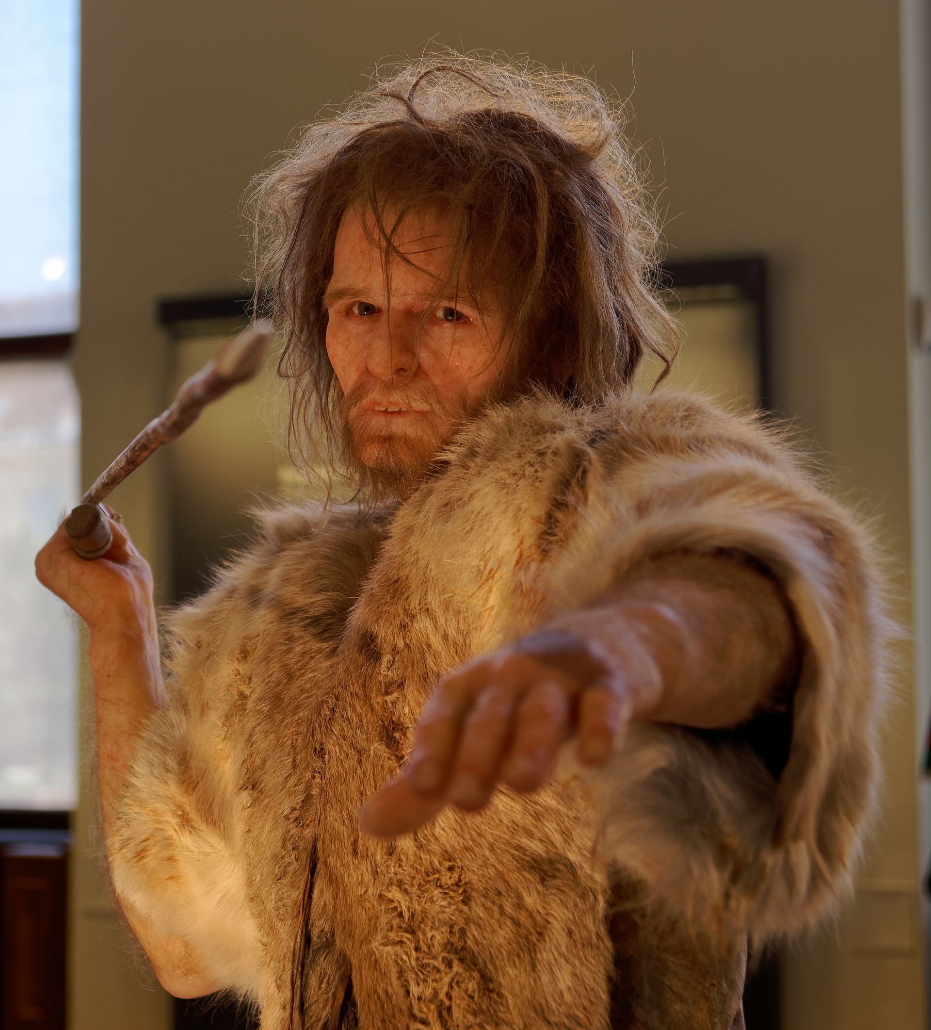 Man in fur coat, holding a stick, pointing forward, indoors.