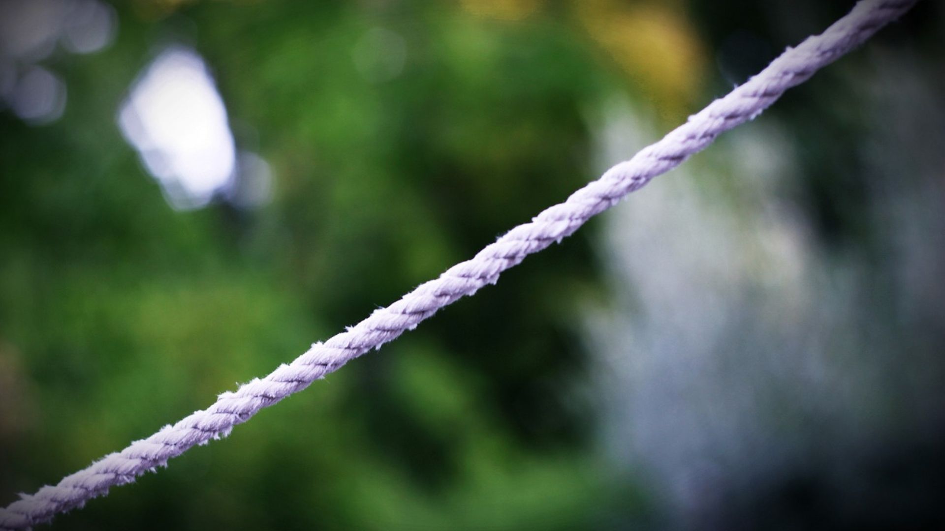 Close-up of a white rope diagonally across the frame, blurred green background.