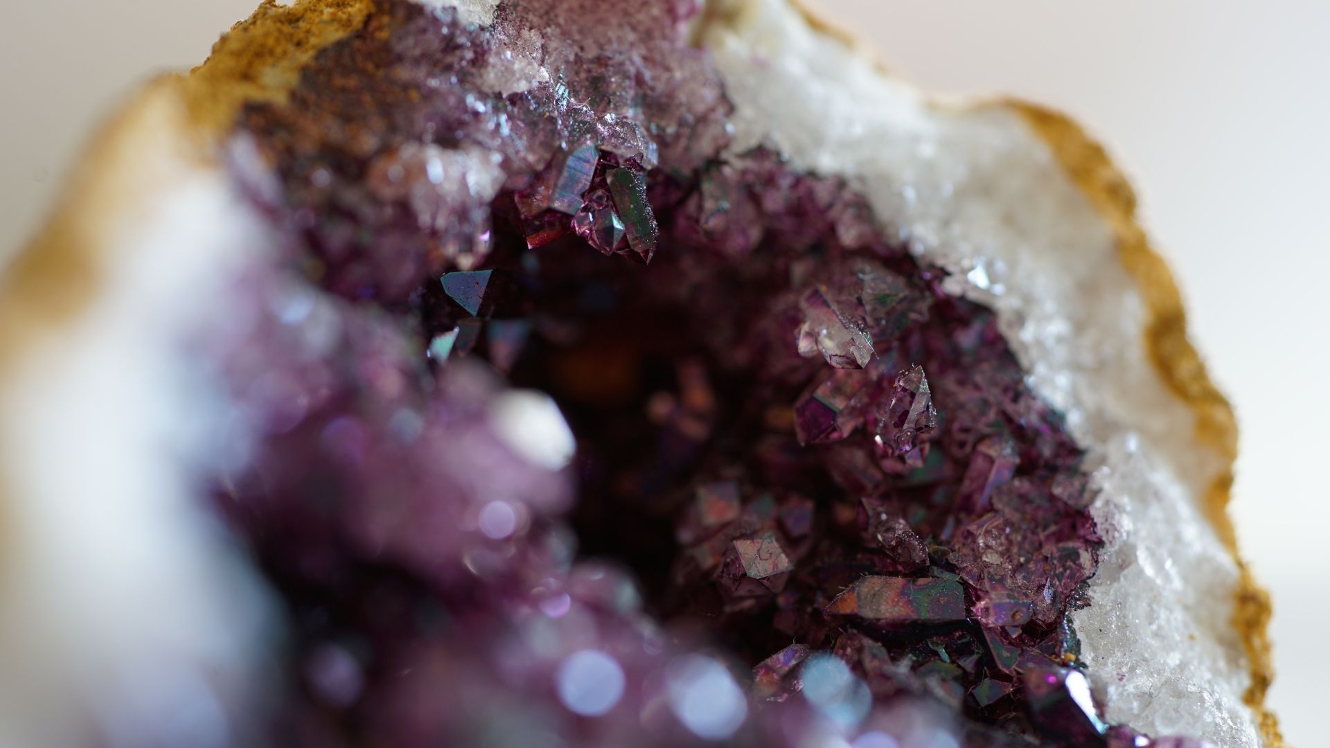 Close-up of a geode. Purple crystals line the inside, surrounded by a white and beige outer layer.