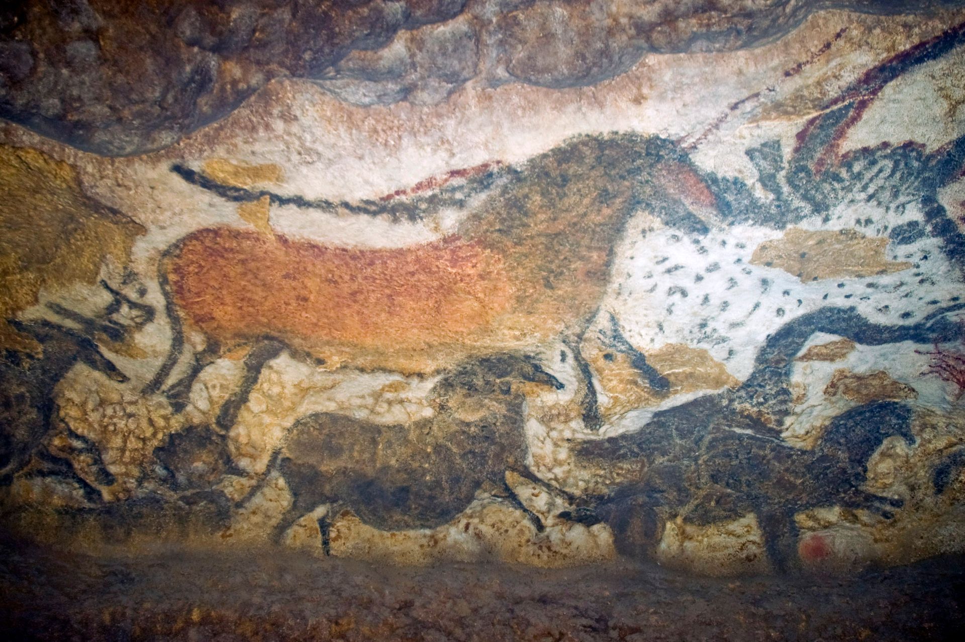 Cave painting of horses and other animals in brown and reddish hues.