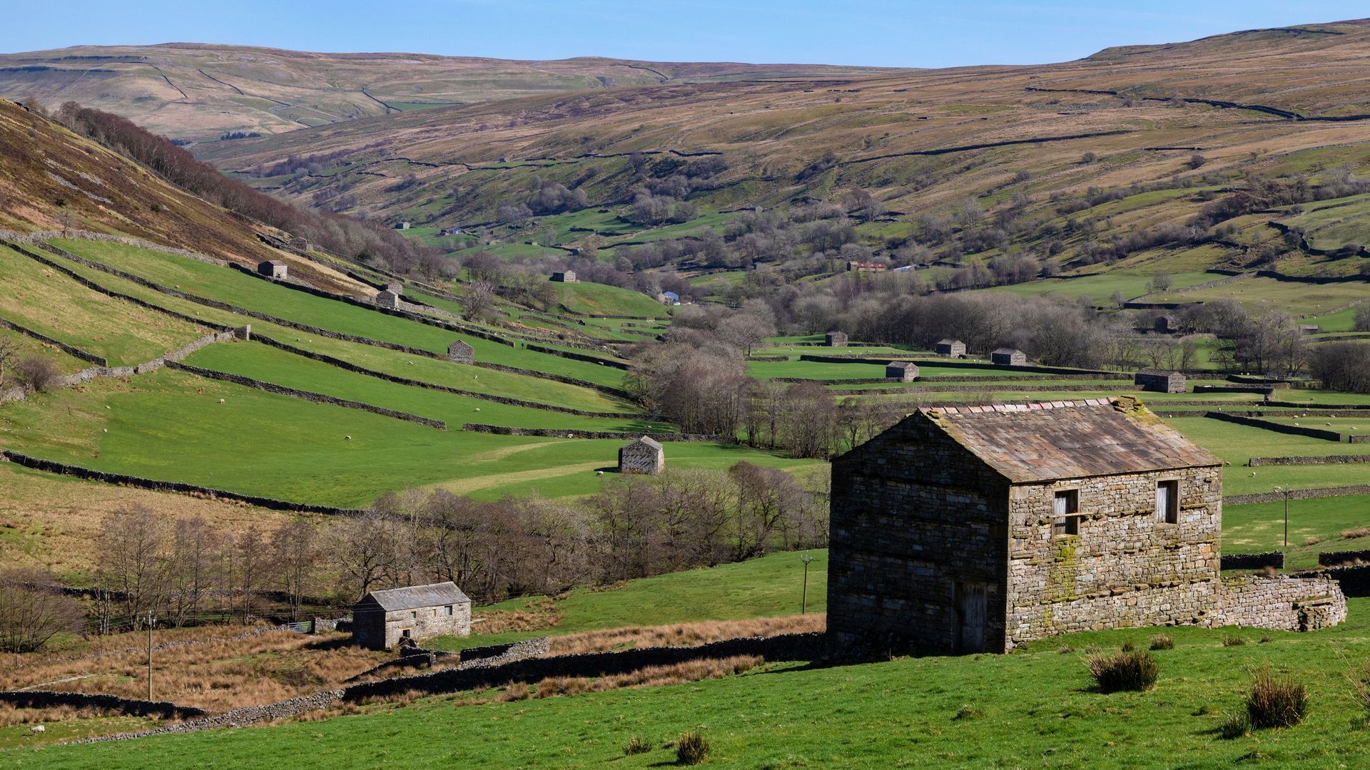Discover our favourite family-friendly nature days out in Yorkshire