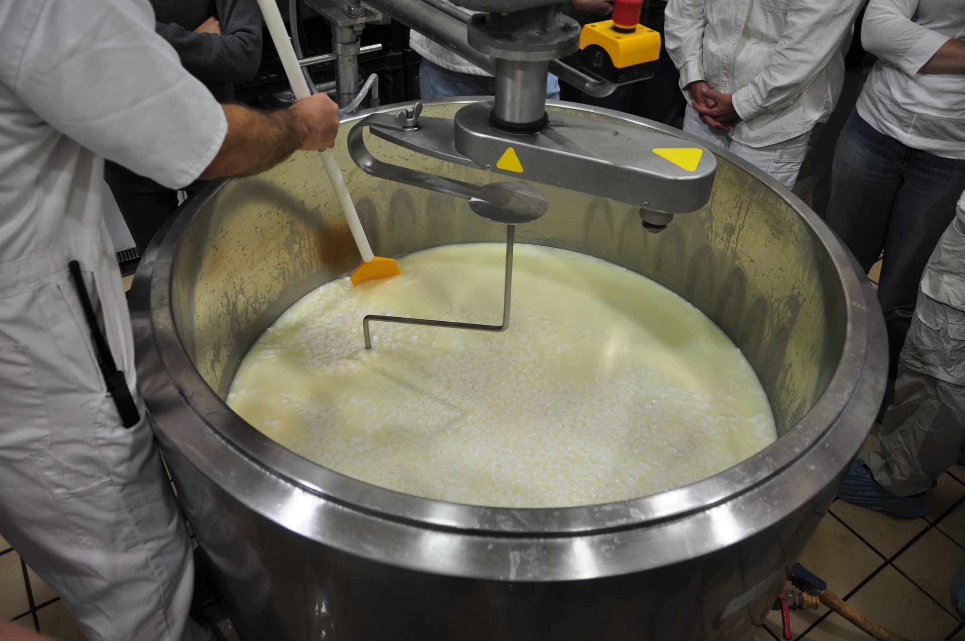 Person stirring liquid in a large stainless steel vat, possibly cheese making.
