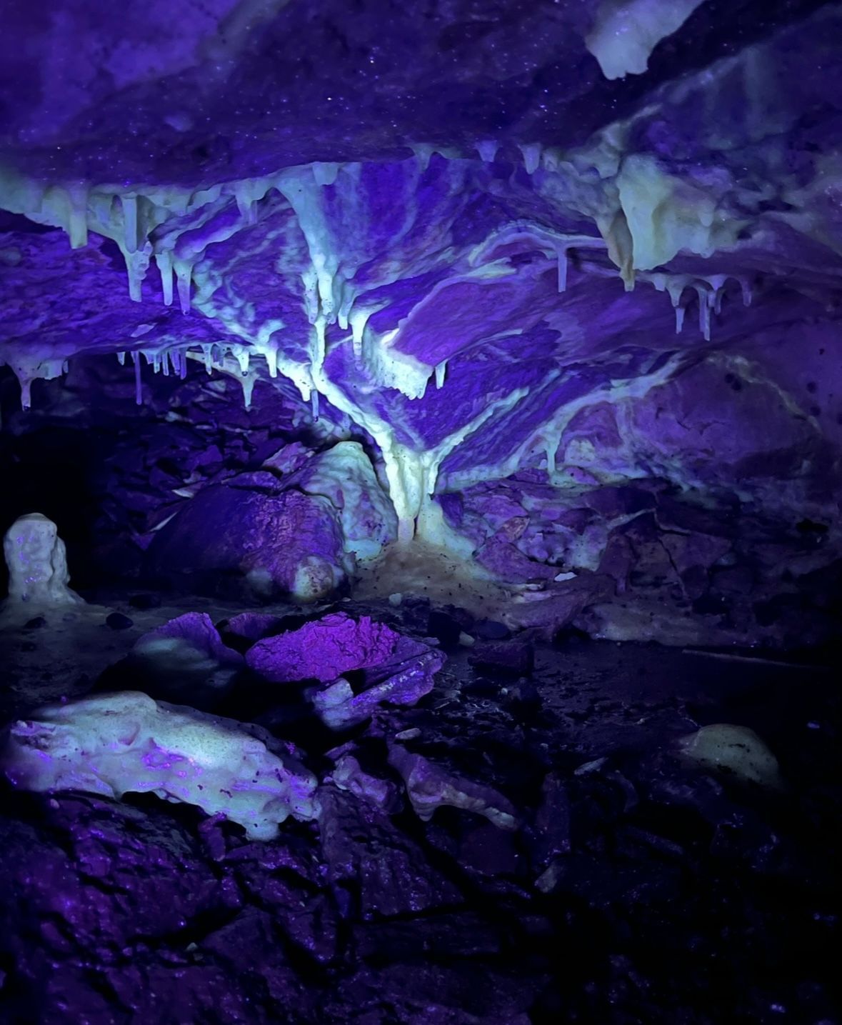Cave interior lit with purple light, highlighting white stalactites and rocky formations.