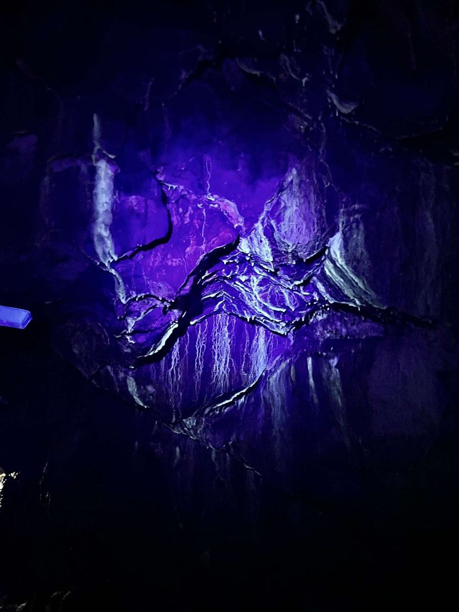 Dark cavern wall lit with purple light, showing textured rock formations.