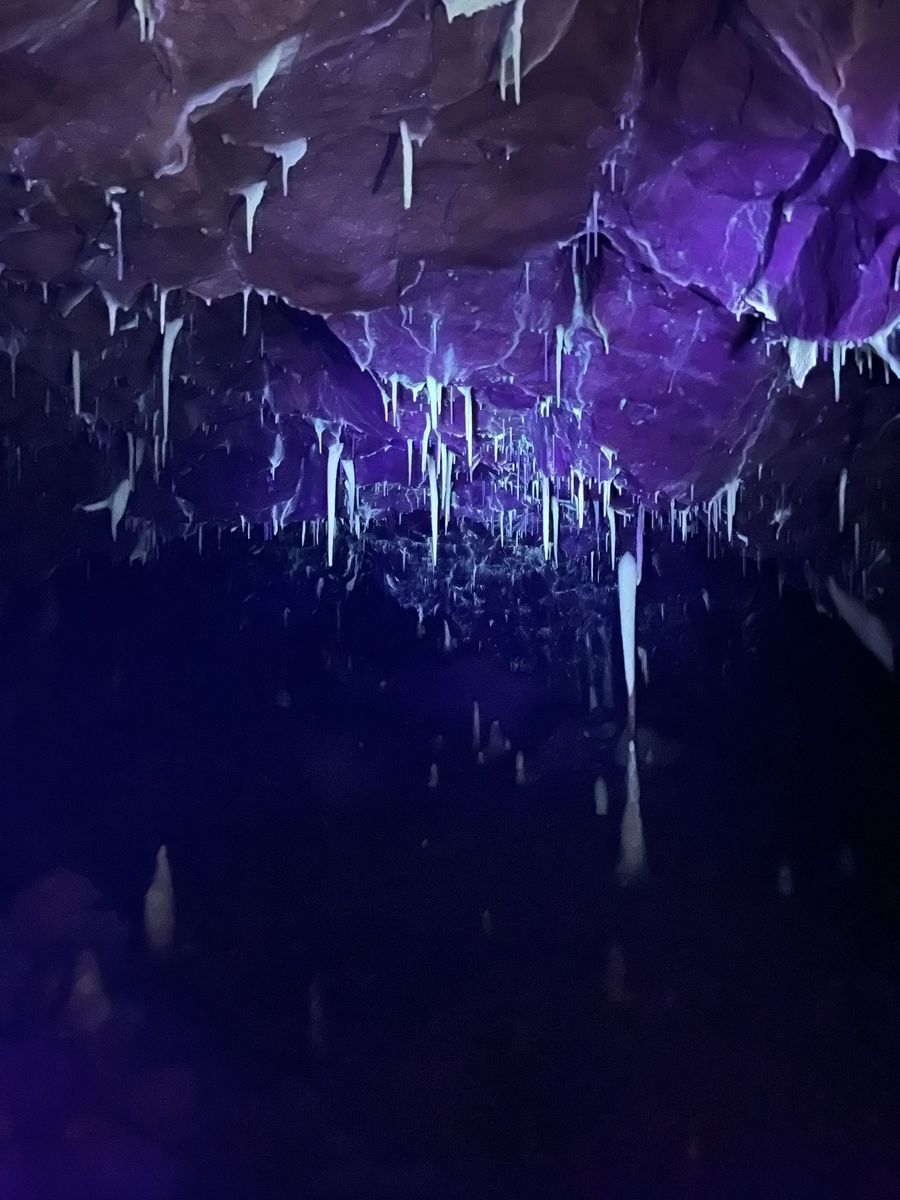 Cave ceiling with glowing purple light, illuminated stalactites hang down.