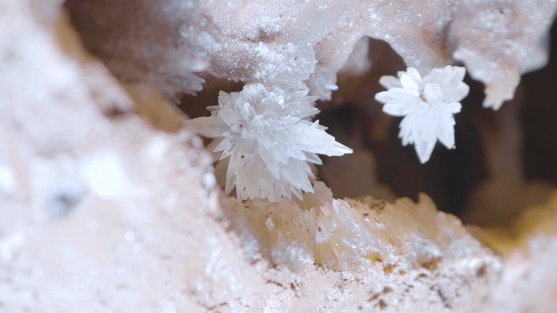 Close-up of white, star-shaped crystals inside a cave-like formation; light beige and brown surroundings.