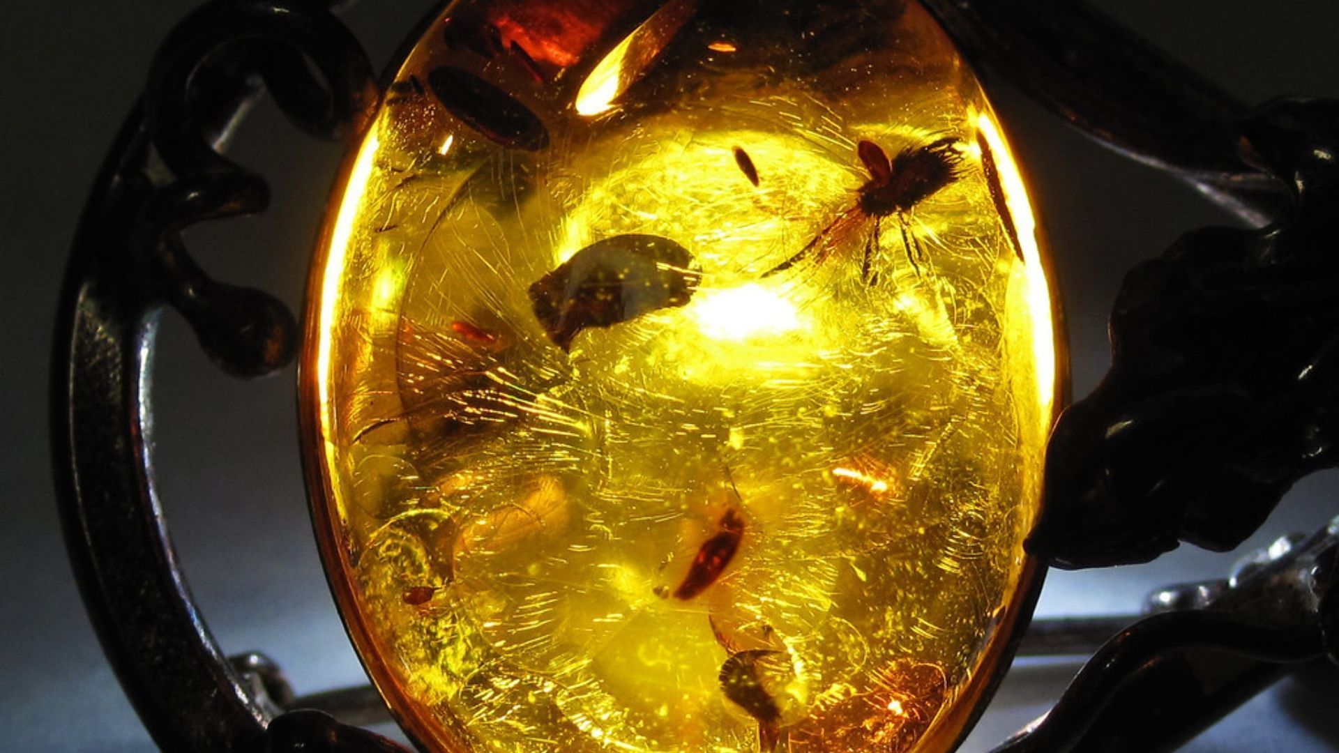 Amber gemstone with visible insect inclusions, glowing gold-orange.