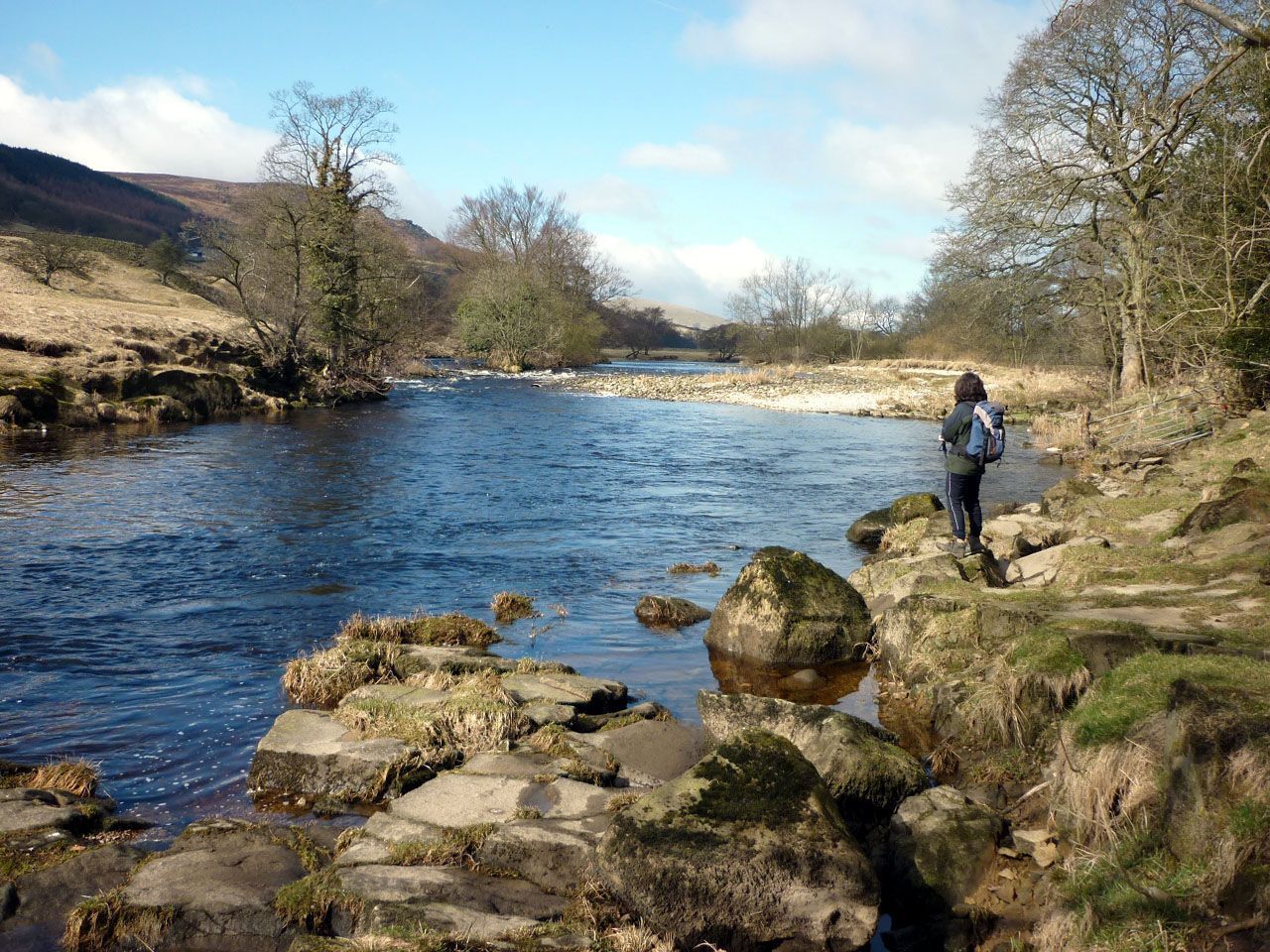 Person standing by a flowing river with rocky banks, trees, and hills in the background on a sunny day.