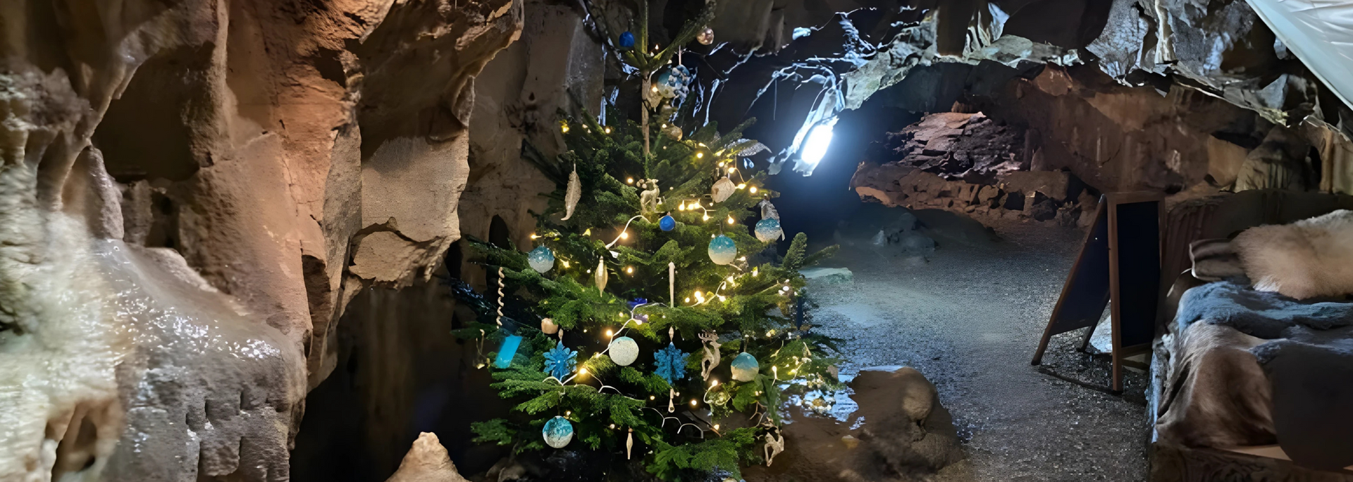 Christmas tree decorated inside a cave.
