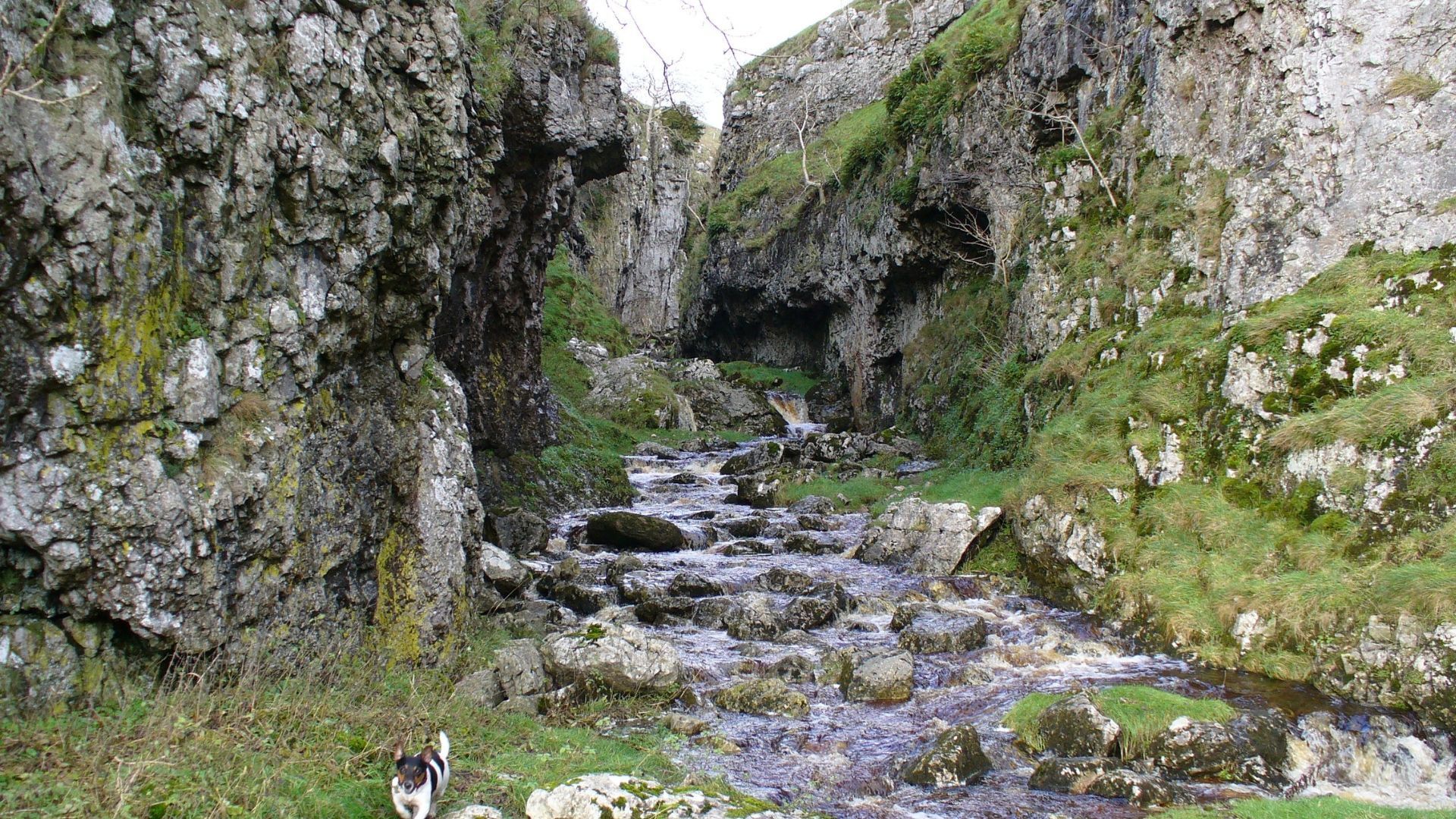 A narrow rocky gorge with a stream flowing through it, vegetation clings to the sides.
