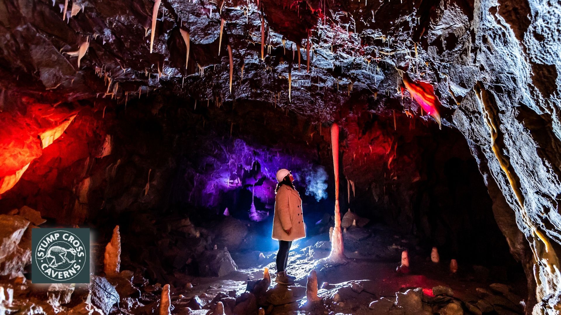 Person in cave illuminated by colorful lights, looking up at stalactites.