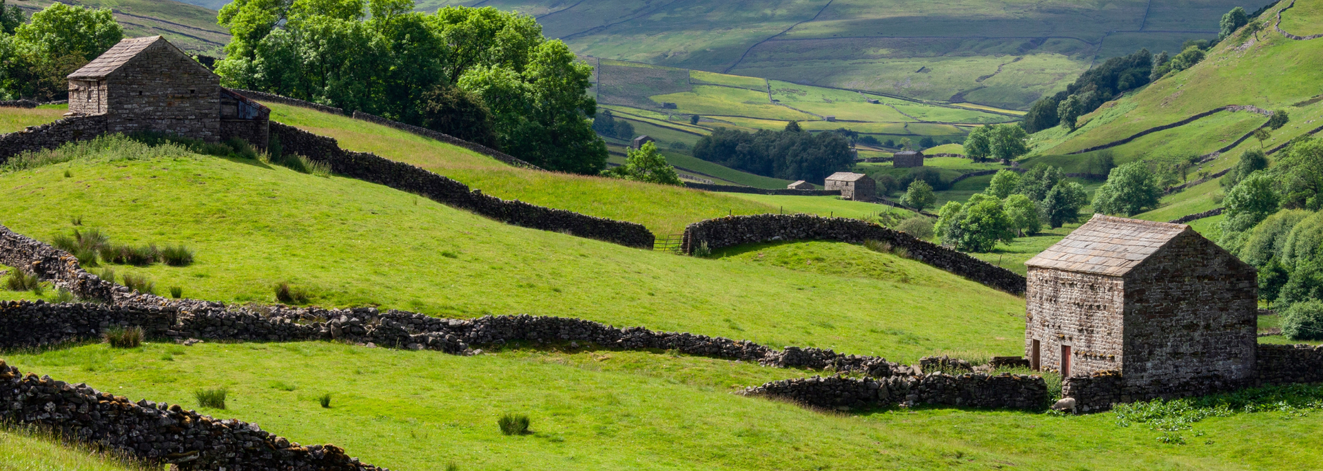 Picture of Yorkshire. Picture of Yorkshire.