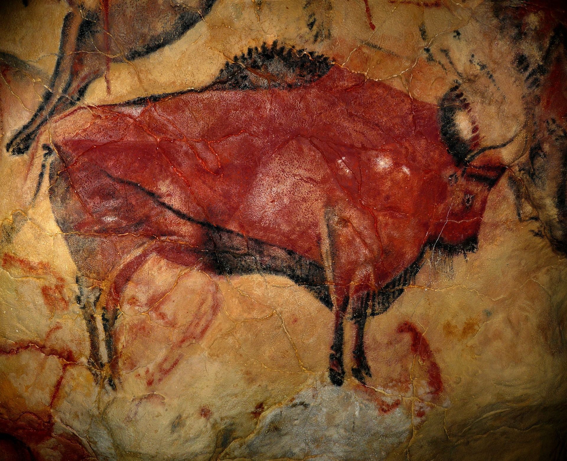 Cave painting of a bison, red and black, on a beige rock surface.