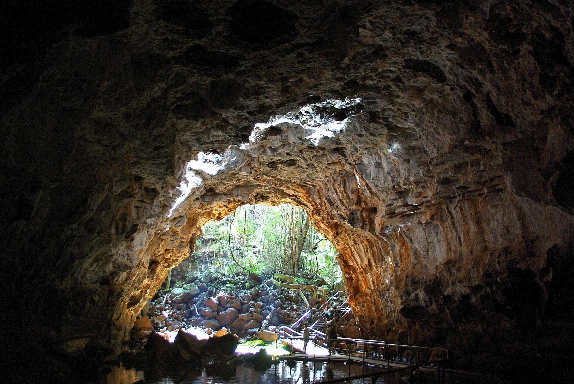 Cave interior opening to a bright, green landscape. Sunlight illuminates the cave's textured walls.