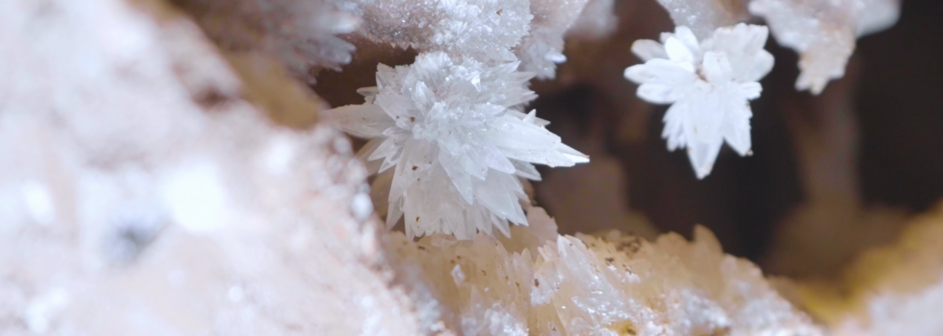Close-up of white, crystalline formations clustered together on a light-colored surface, possibly a mineral or rock.