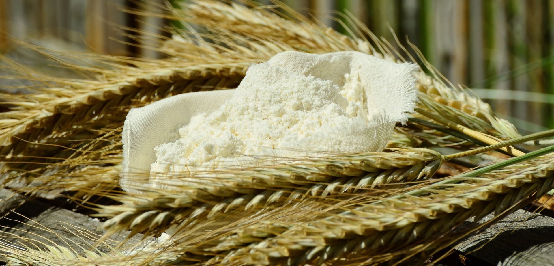 Flour spilling from a small cloth bag atop wheat stalks, in front of a blurred background.