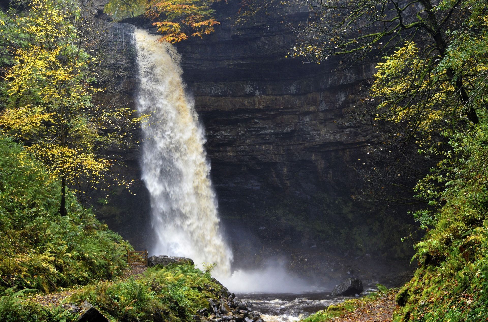 Waterfall cascading down a rock face surrounded by lush greenery and autumn foliage.