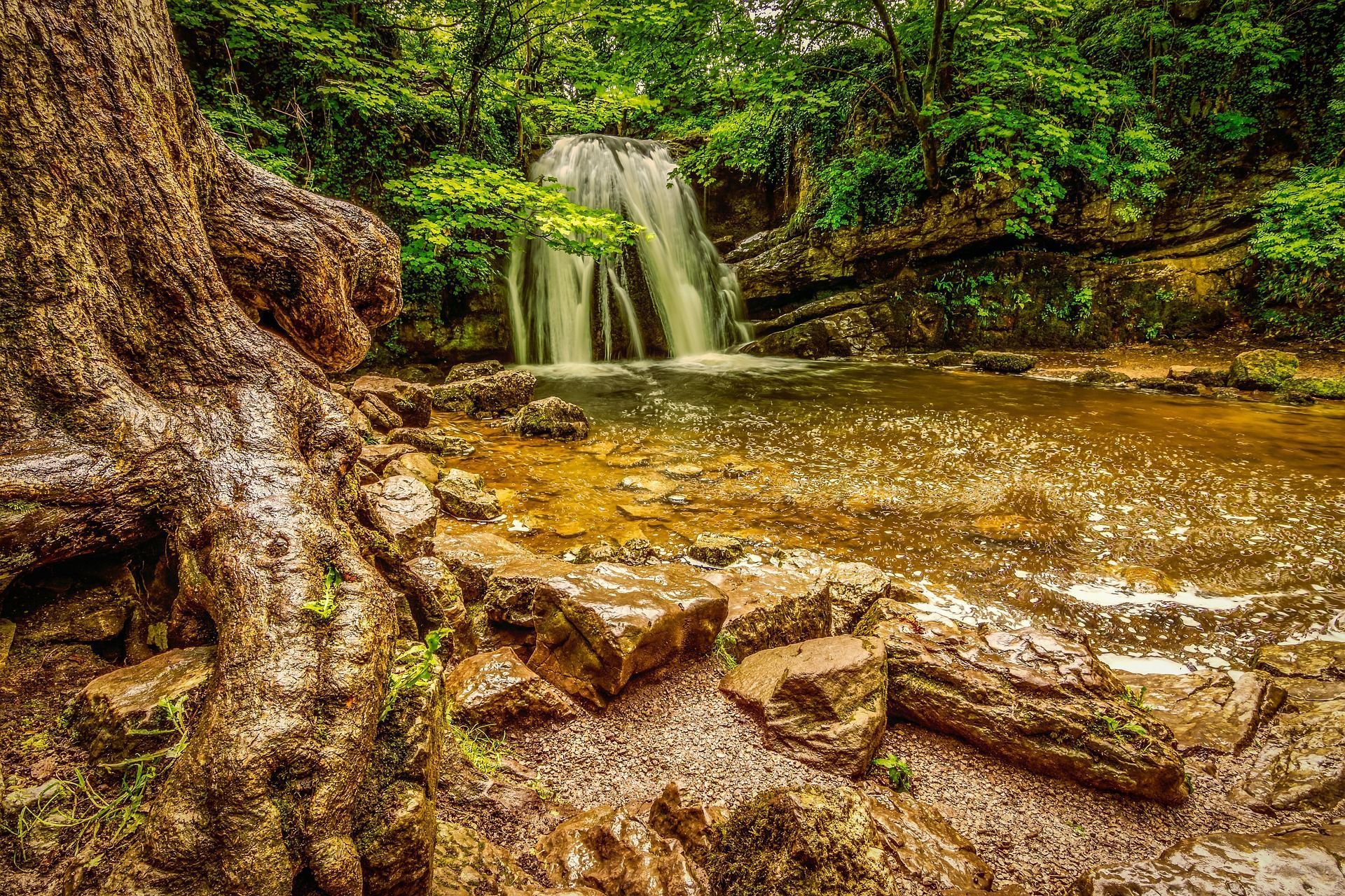 Waterfall cascading into a pond, surrounded by rocks, trees, and lush greenery; earth-toned hues.