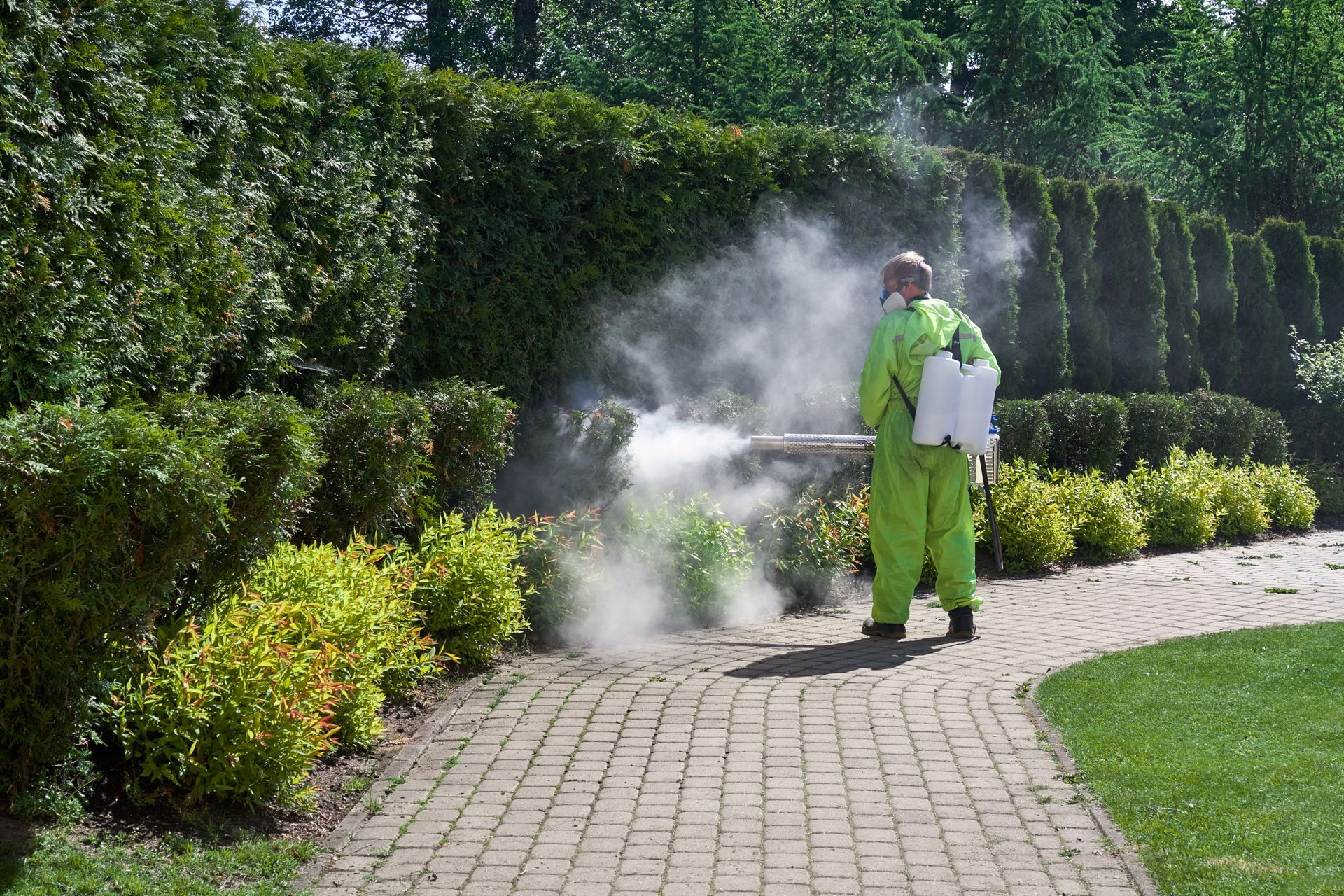 Man in protective gear spraying plants with pesticide in a garden.
