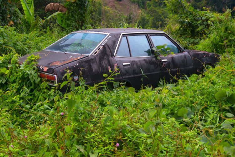 abandoned car removal